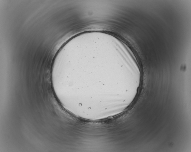 X0000110771465200907131222