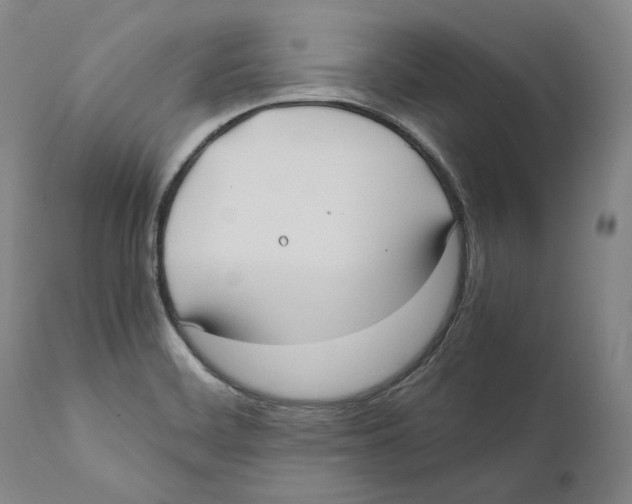 X0000110771468200907131222