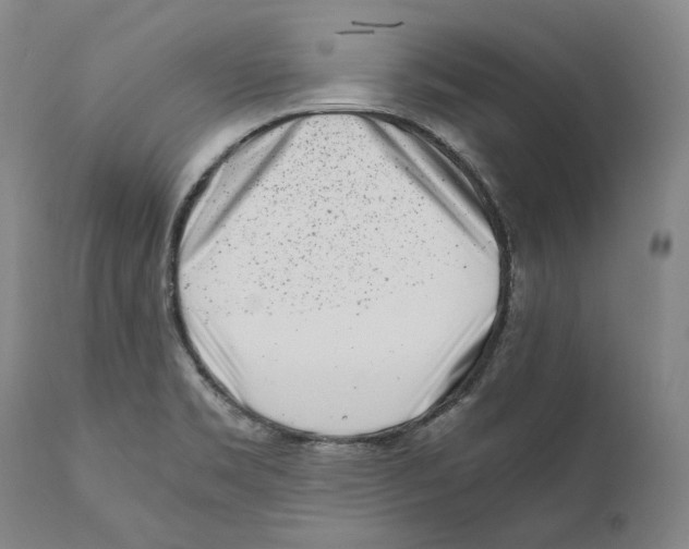 X0000110771469200907131222