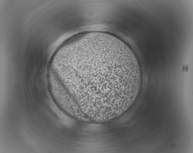 X0000110771470200907131222