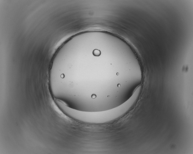 X0000110771476200907131222