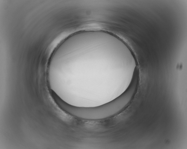 X0000110771477200907131222