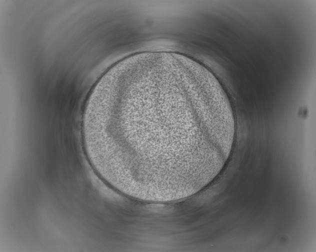 X0000110771478200907131222