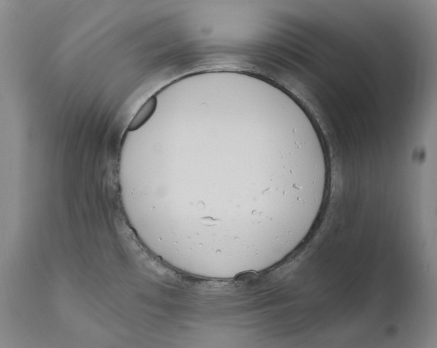 X0000110771481200907131222