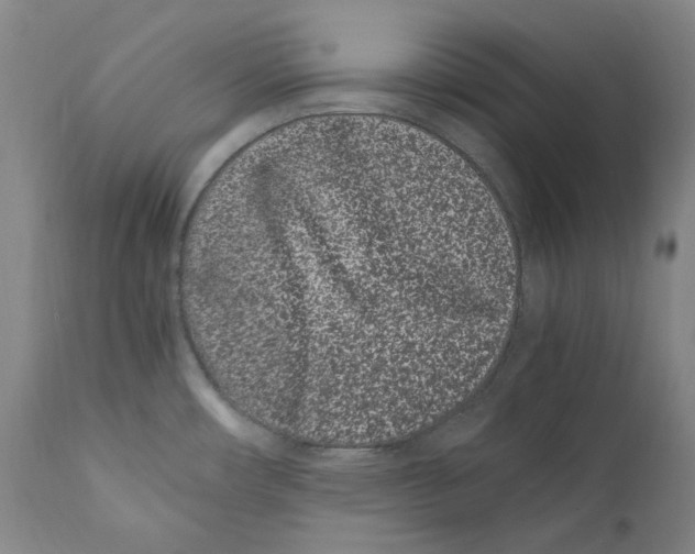 X0000110771482200907131222