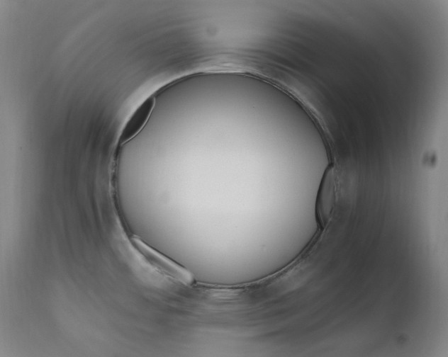 X0000110771484200907131222