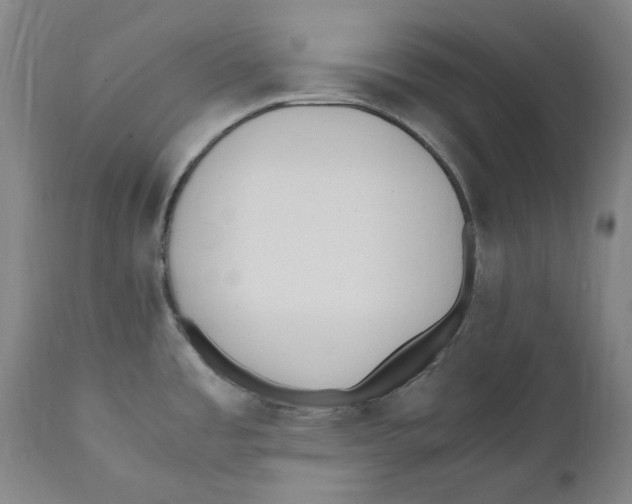 X0000110771485200907131222