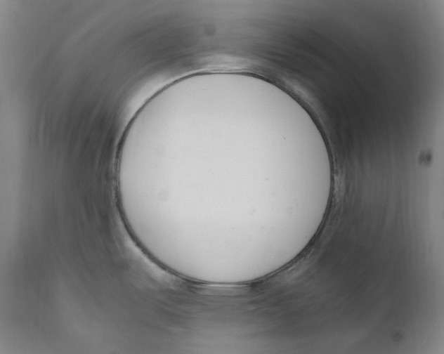 X0000110771487200907131222