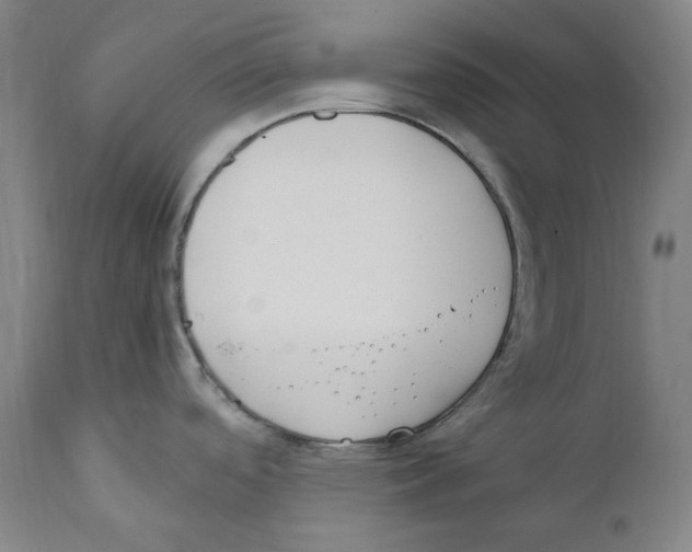 X0000110771488200907131222