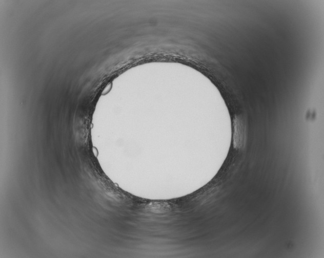 X0000110771491200907131221