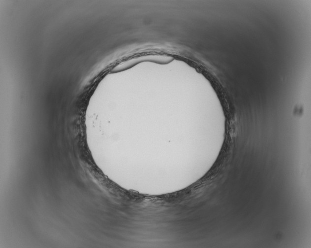 X0000110771496200907131221