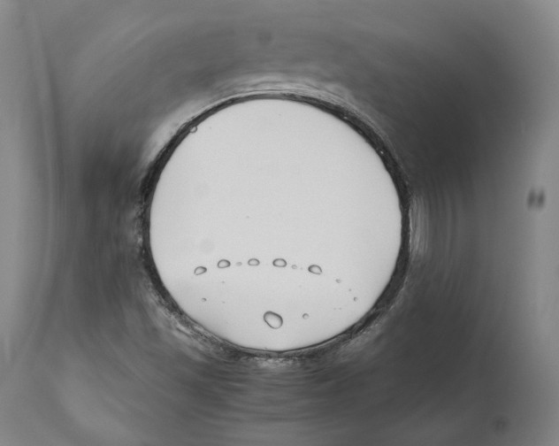 X0000110771501200907131221