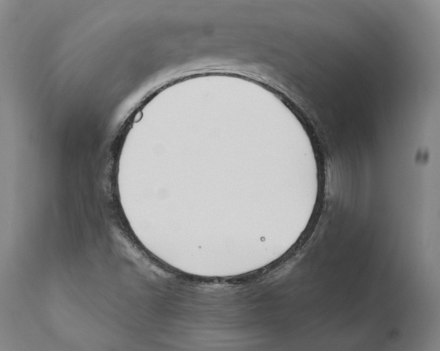 X0000110771502200907131221