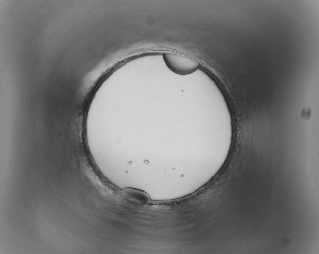 X0000110771503200907131221