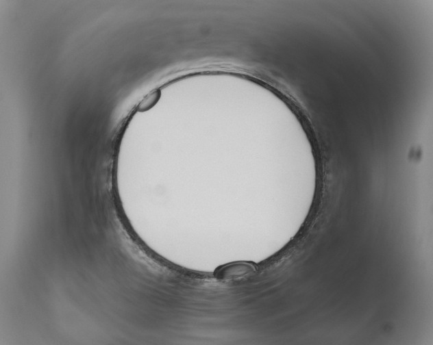 X0000110771504200907131221