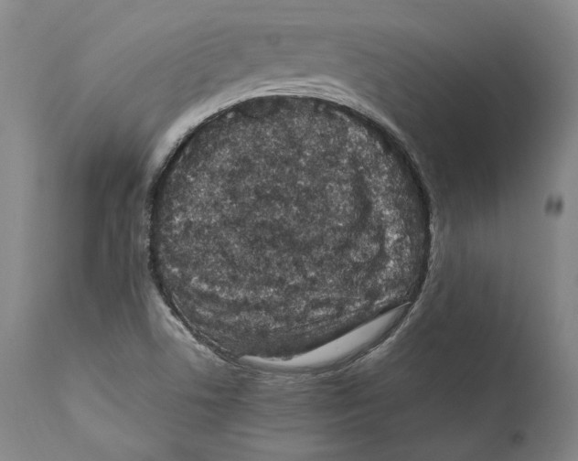 X0000110771506200907131221