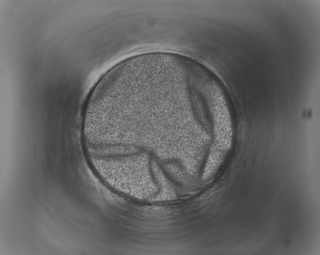 X0000110771508200907131221