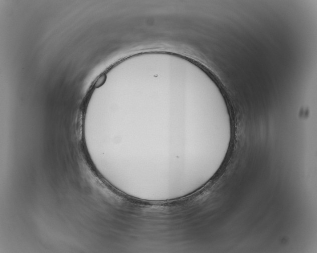 X0000110771510200907131221