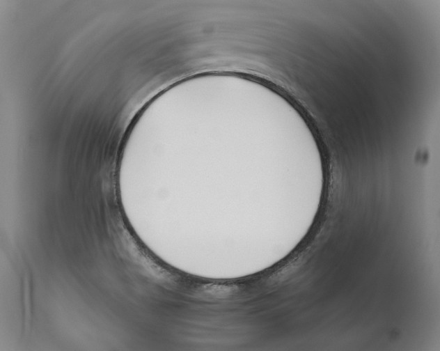 X0000110771513200907131221