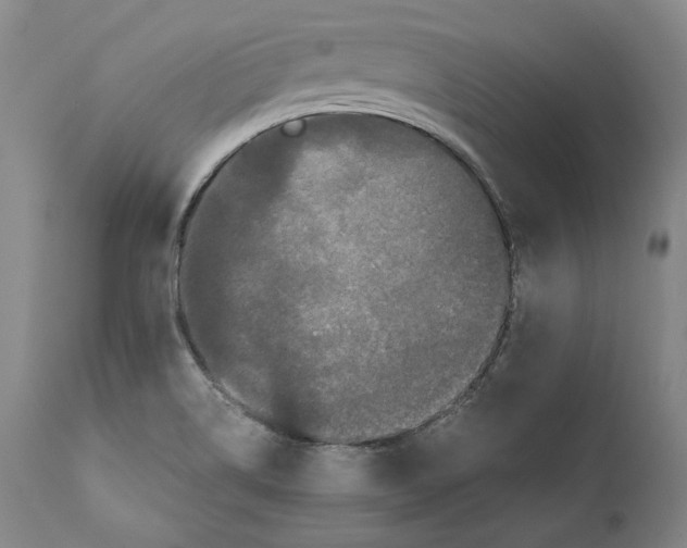 X0000110771514200907131221