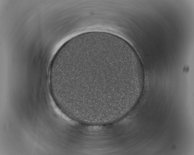 X0000110771515200907131221