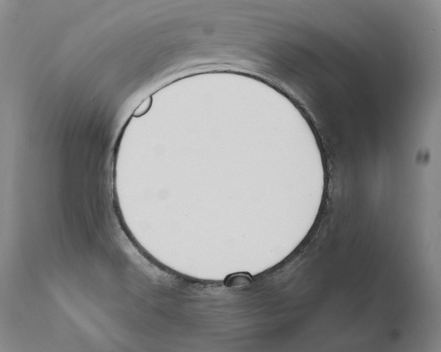 X0000110771516200907131221