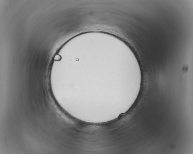 X0000110771517200907131221