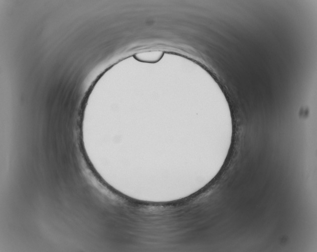 X0000110771518200907131221