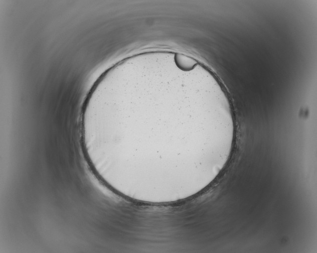 X0000110771519200907131221