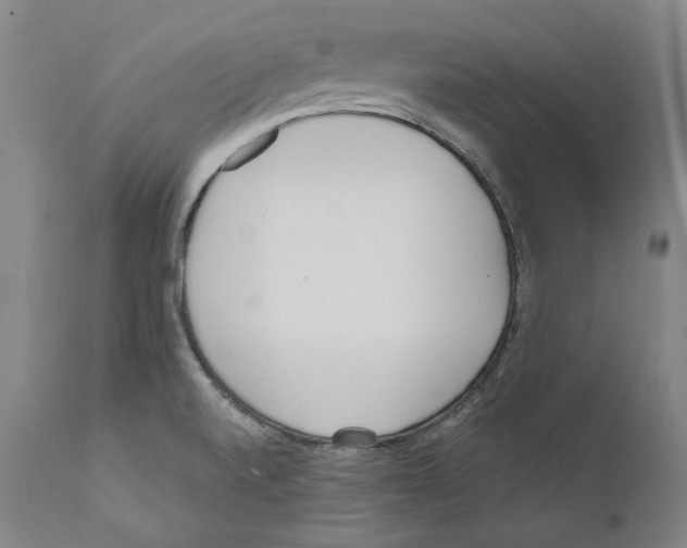 X0000110771520200907131221