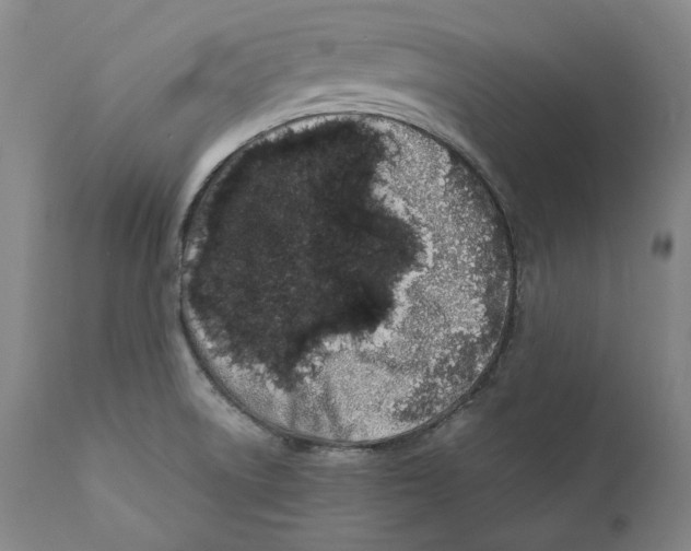 X0000110771522200907131221