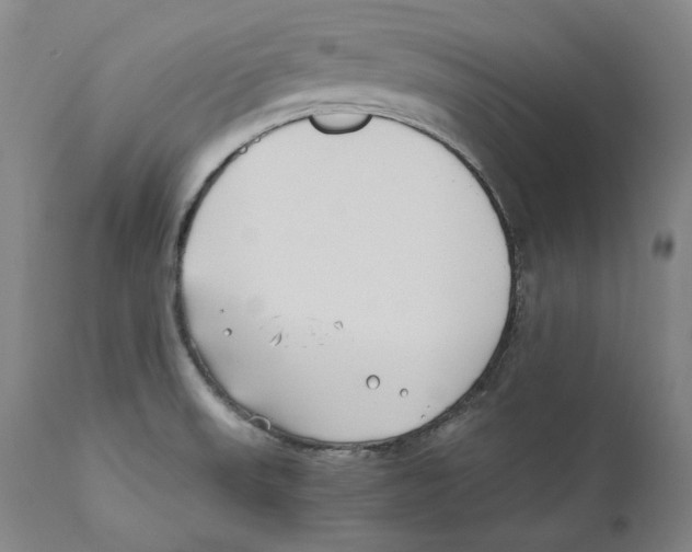 X0000110771523200907131222