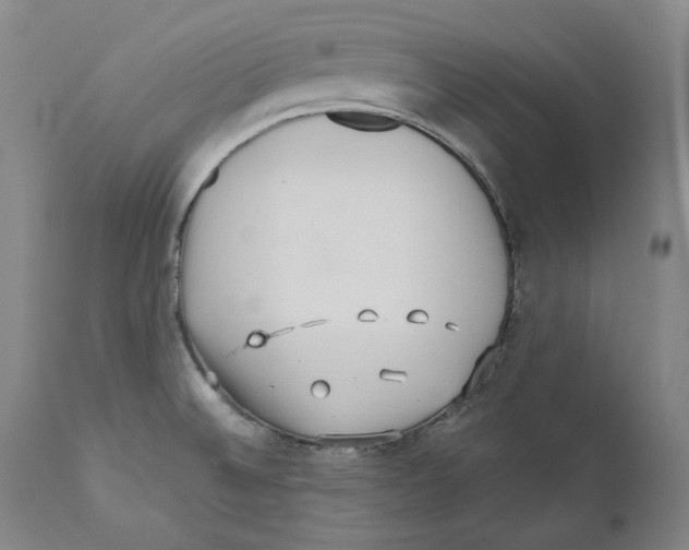 X0000110771524200907131222