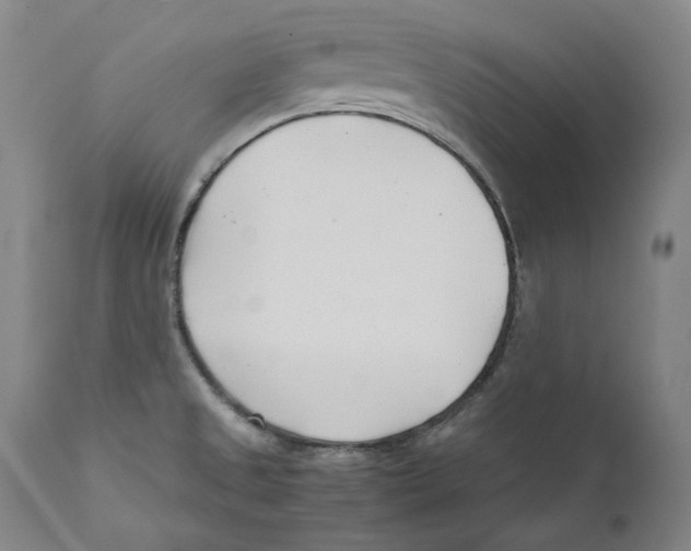 X0000110771525200907131222