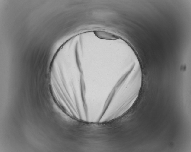 X0000110771527200907131222