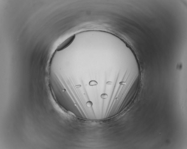 X0000110771528200907131222