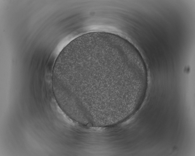 X0000110771529200907131222