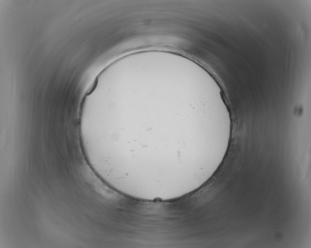 X0000110771532200907131222