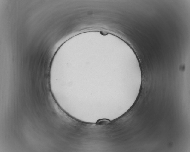 X0000110771534200907131222