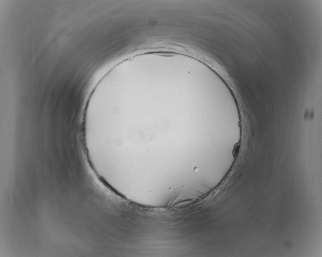 X0000110771536200907131222