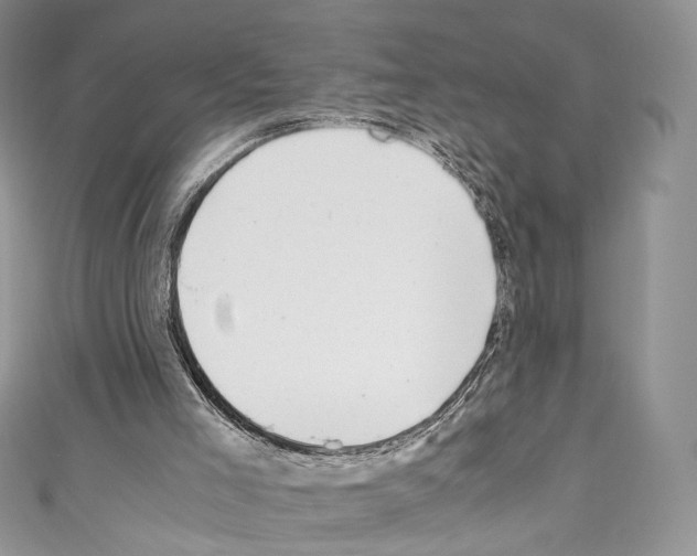 X0000110770005200907271214