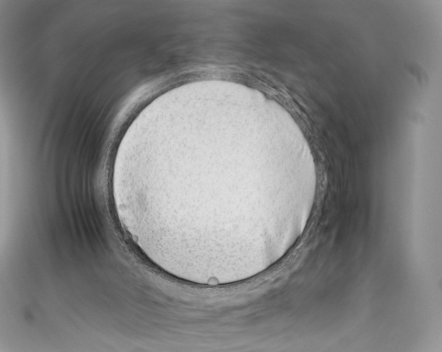 X0000110770006200907271214