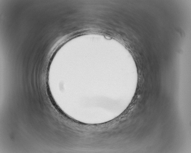 X0000110770007200907271214