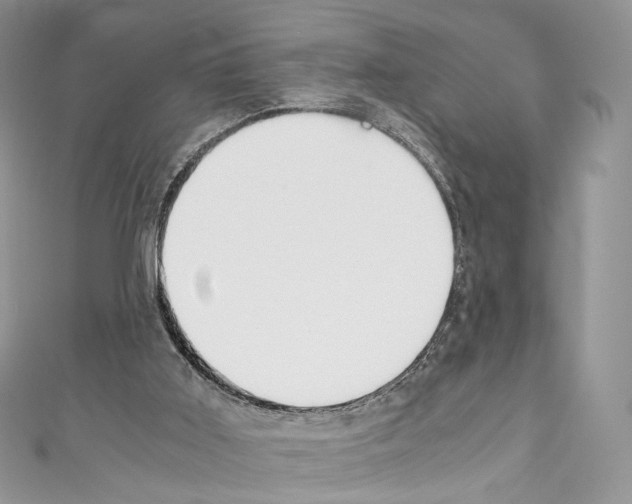 X0000110770011200907271214