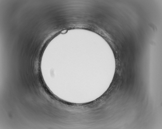 X0000110770012200907271214