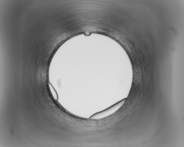 X0000110770015200907271214