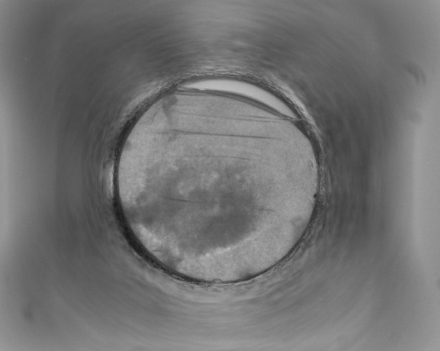 X0000110770019200907271214