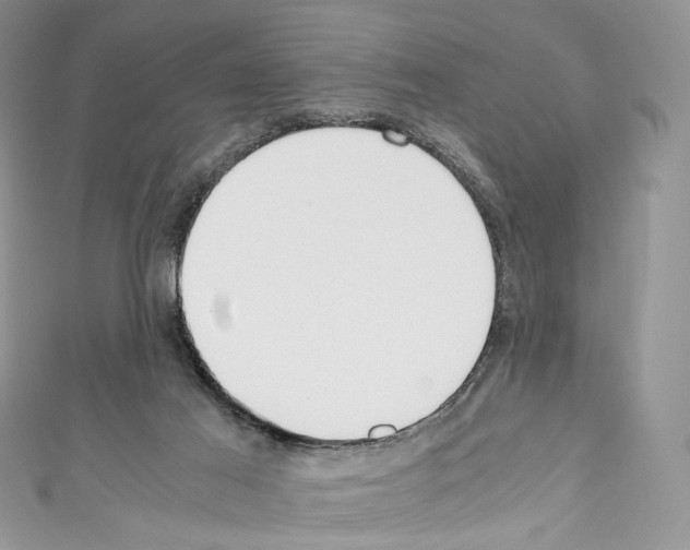 X0000110770021200907271214