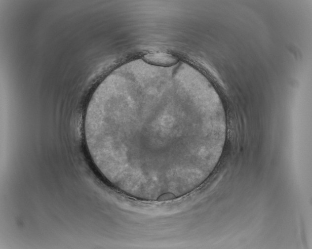 X0000110770023200907271214