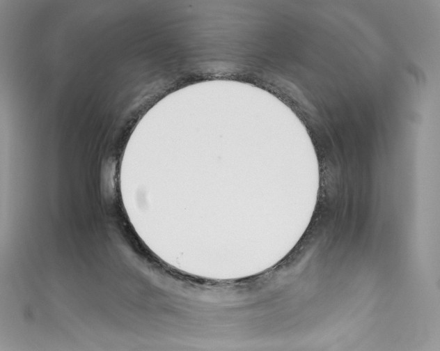 X0000110770024200907271214